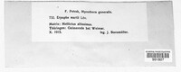 Erysiphe martii image